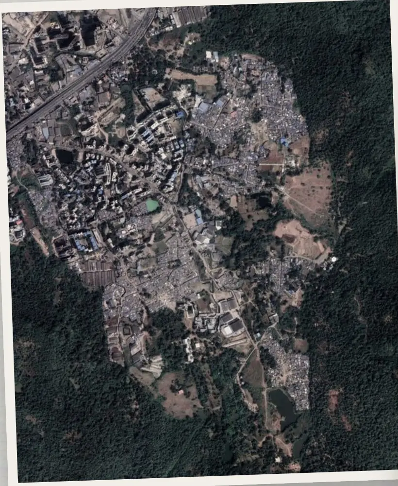 Satellite view of forest edge in Mumbai
