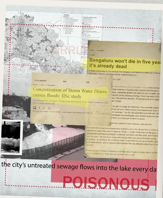 Collage of news clippings on Bengaluru's poisonous lakes